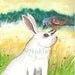 SALE - Original Rabbit Watercolor Painting - Blue Bird