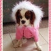 Dog Hoodie: with Zipper with your choice of Crystal Designs XLarge
