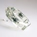 Scalloped clear lucite bracelet with real insects