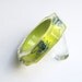 Salag green lucite bracelet with exotic real insects