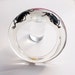 Transparent lucite bracelet with real bugs