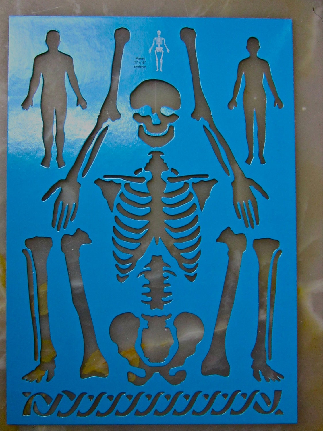Skeleton Human Body Arms Legs Bones Skull Art Stencil