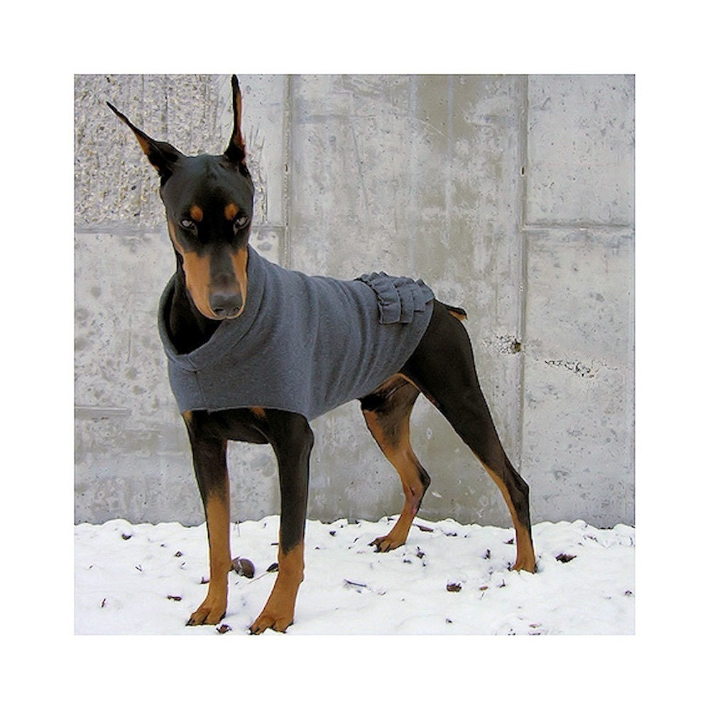 Where Can I Find Dog Sweaters Where Can I Find Dog Sweaters