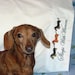 Dachshund Sleeps With Wieners Embroidered Pillowcases Set of 2 King Size