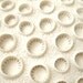 SALE - Wall Sculpture - Coral Polyps - Unglazed Porcelain - 11.5cm across - by seaurchin