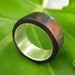 Tronco - handcarved nambaro wood ring with sterling band