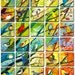 51 Birds - The Complete Set - Limited Edition Reproductions on 5 x 5 Bamboo Panel