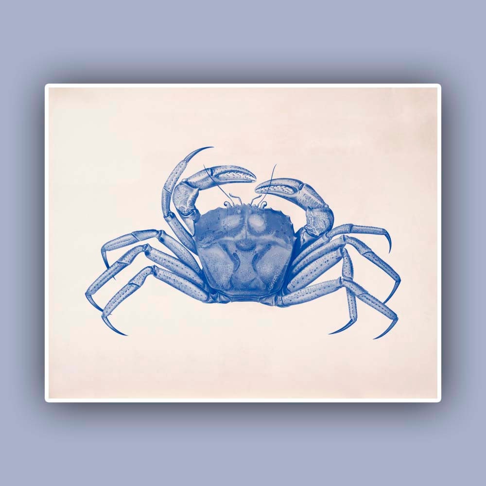 Crab Print in blue Vintage image 10x8 landscape print