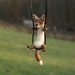 Tiny Fox Necklace - needle felted