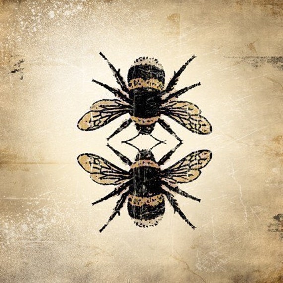 6x6 Insect Print  Bumble Bee 