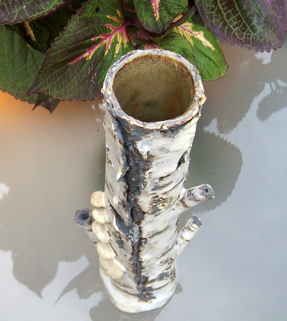 Rustic Birch Bark Tree Trunk Vase with mushrooms handmade