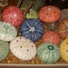 tiny coral pink ceramic sea urchin pin cushion - a handmade figural pincushion by Earth N Elements Pottery