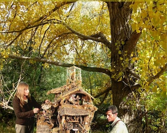 The Enchanted Treehouse, fairytale movie