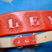 Personalized Dog Collar