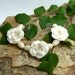 Rose Bead Set - Pearl White