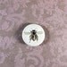 Honey Bee Pin