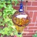 Hand Blown Art Glass Hummingbird Feeder by Rebecca Zhukov