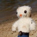 LOST Chickenpants - Jack Shephardpants - CP No. 348