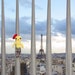 Chicken Art - Chickenpants Limited No. 7 - Chickenpants in France