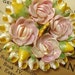 vinTaGe seashell brooch on original card pastel colors