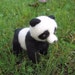 Little Panda Needle Felted Figure