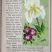 Hand-painted Magnetic Bookmark - Iris, Purple Flowers and Butterfly - No. 1096