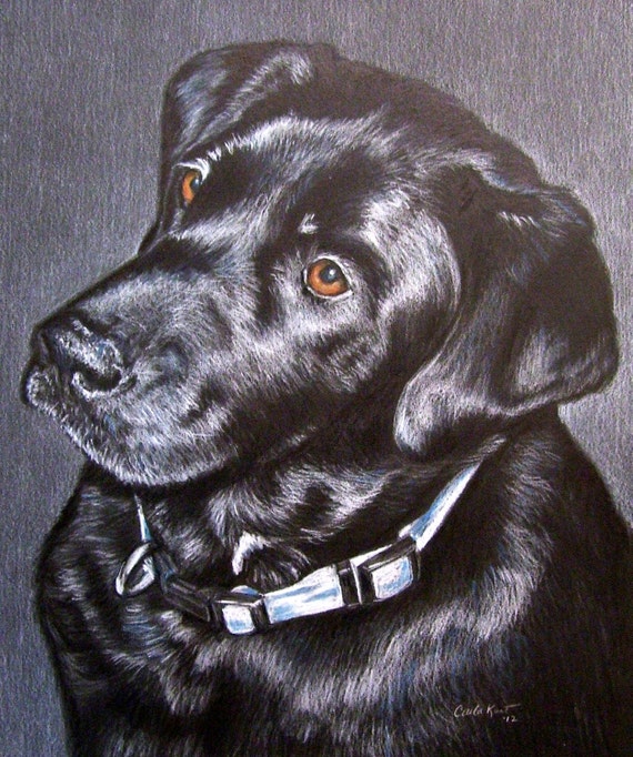 Custom Dog Portrait 8 x 10 Colored Pencil Art by Carla Kurt