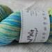 Super Wash Merino Fingering Start the Day Right