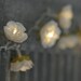 RESERVED for hcod1963 White Shabby Rose Fairy Lights - Pretty Flower Garland