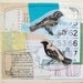 Mixed Media Collage Illustration by Michele Maule - Cet arrangement