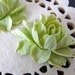 Lime Green Rose Cabochon, 2 pcs