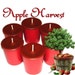 6 Apple Harvest Votive Candles Spicy Apple Scent