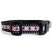 Dog Collar (Hardcore Pink)