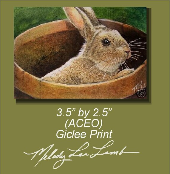 Summer Bunny Rabbit Melody Lea Lamb ACEO Print