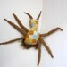 One Of A Kind Plush Monster Doll Jimmy the Bug Made With Upcycled Vintage Fabric