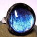 Butterfly Wing Jewelry Blue Morpho Ring Glass