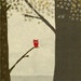 la foret 3