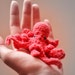 miniature realistic octopus - coral soft anatomically correct