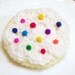 Frosted Sugar Cookie Brooch and Hair Clip in White