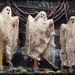 Primitive Halloween Ghost Make Do Dolls E-PATTERN
