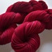 Hand Painted Superwash BFL/Nylon 4-Ply Sock Yarn -- CranBerry
