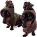 Eco Dog Coat - Forest Green Cocoa - Custom Order - jpap9284