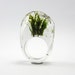 Clear resin ring with green moss