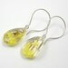 Yellow Flowers Earrings