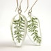 Yarrow Leaves Resin Earrings, floral earrings, Earrings with leaves