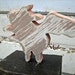 Wooden Flying Pig
