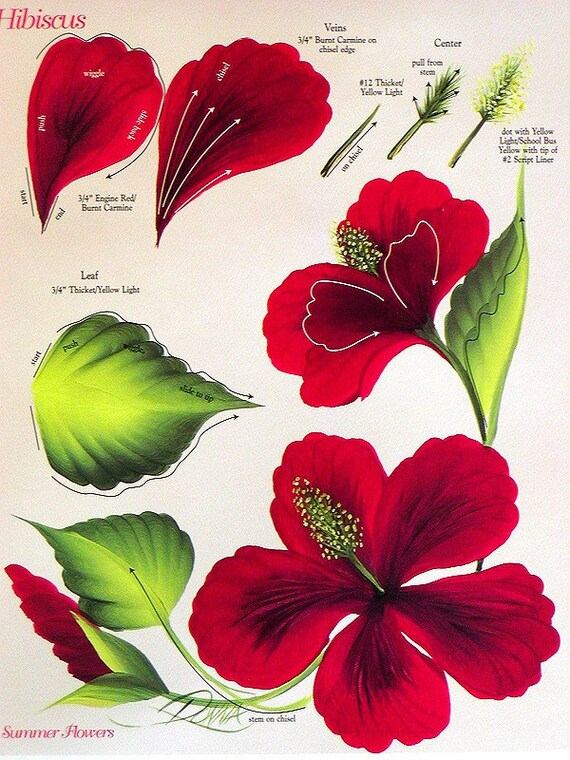 Set of ONE STROKE FLOWERS INSTRUCTIONAL GUIDES Donna Dewberry