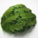 Curly Feather Pad, Sage on Emerald Green, 1 Nagorie Pad