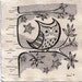 Owl, orginal black ink drawing 15 cm x 15 cm