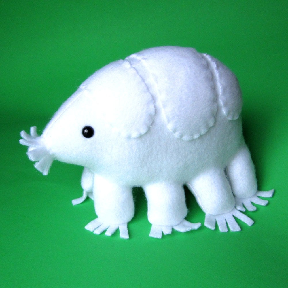 plush tardigrade